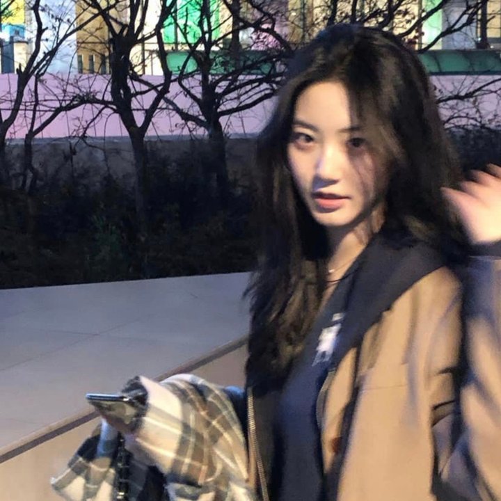 佐杜洛夫斯基的沙丘